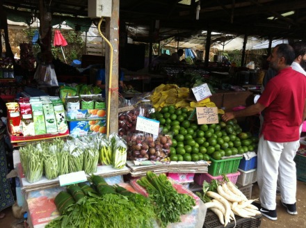 Hmong_Market_DoiInthanon020