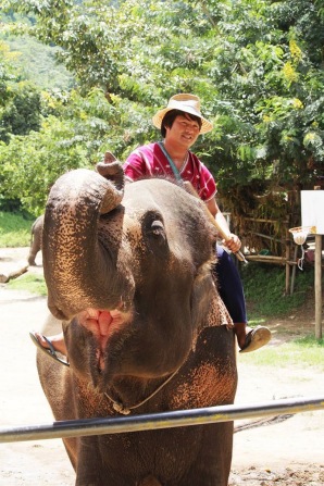 maetang_elephant_camp101